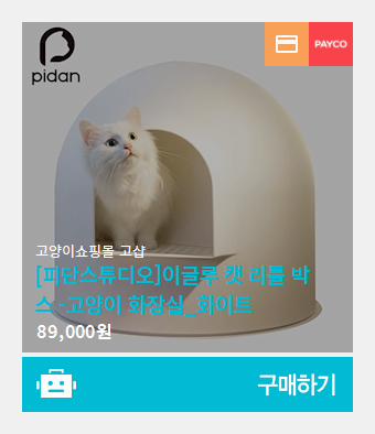 디비디비스튜디오 이미지